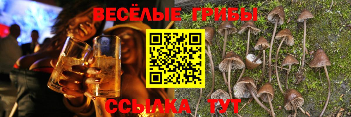 Псилоцибиновые грибы мицелий Чебоксары